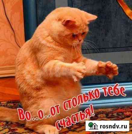 Ремонт Елабуга