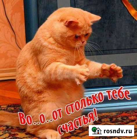 Ремонт Елабуга - изображение 1