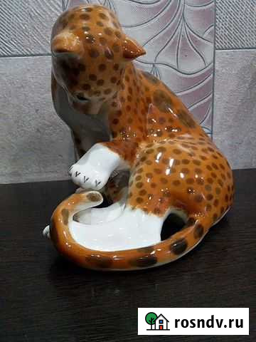 Гепард играющий с хвостом. лфз. Зебры.Вратарь Подпорожье - изображение 1