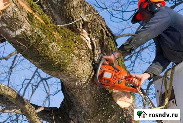 Спил деревьев Гиагинская - изображение 1