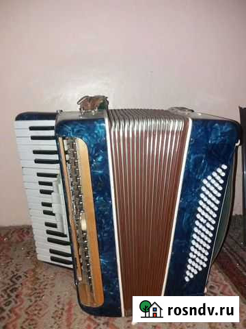 Аккордеон Рыбное - изображение 1