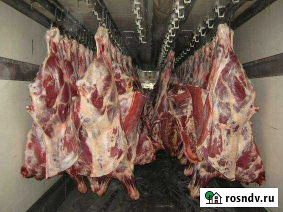 Мясо говядина. Халяль Крымск - изображение 1