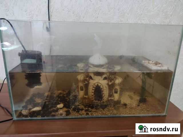 Аквариум Лесной - изображение 1