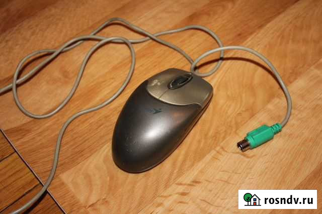 Компьютерная мышь Калниболотская - изображение 1