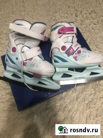 Коньки Мичуринск - изображение 1