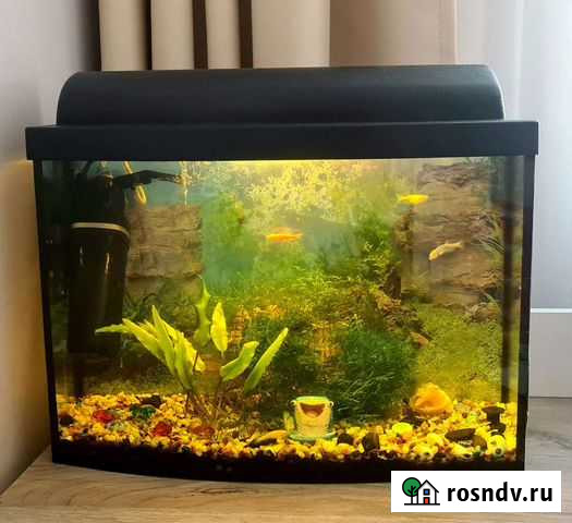 Аквариум с рыбками Красногорск - изображение 1