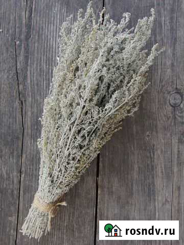 Полынь пучками Юрюзань - изображение 1