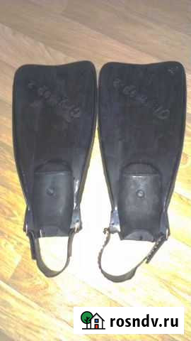 Ласты Биробиджан - изображение 1