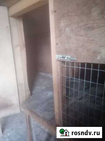 Клетка для кролика Верхняя Максаковка - изображение 1