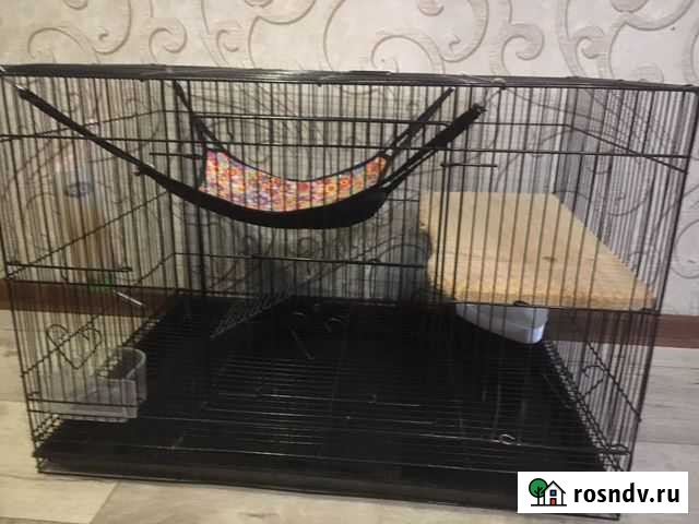 Клетка Орехово-Зуево - изображение 1