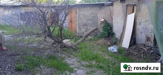 Опиловка деревьев Волгоград - изображение 1