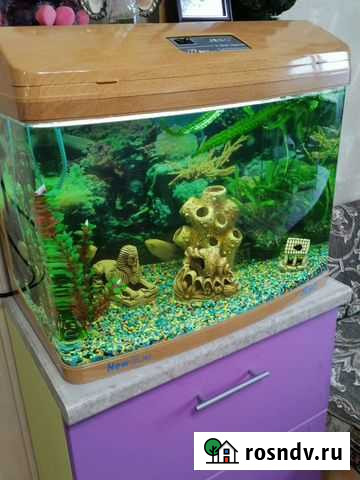 Аквариум 100 литров Краснознаменск - изображение 1
