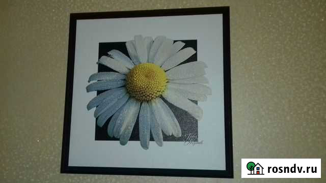 Фото работа Уфа - изображение 1