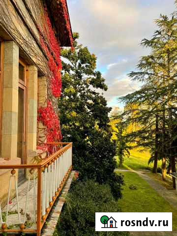 Аренда жилья посуточно в Абхазии Сочи - изображение 1