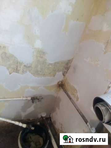 Поклейка обоев,покраска г.Чайковский Чайковский - изображение 1