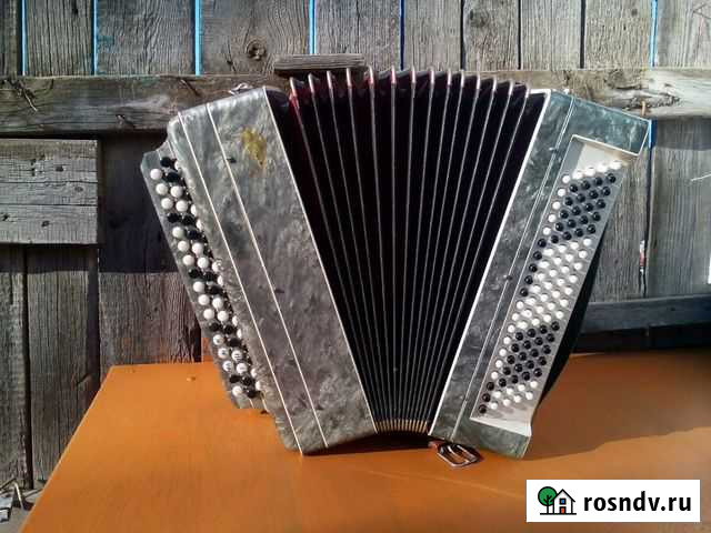 Баян Воронеж - изображение 1