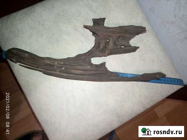 Для аквариума Сергиев Посад - изображение 1