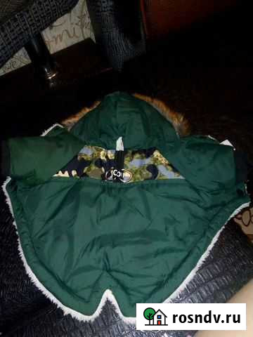 Куртка зимняя для собачки Белгород - изображение 1