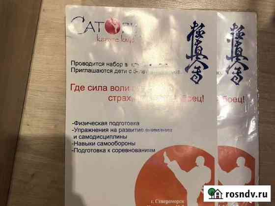 Тренировки для детей и взрослых- Карате Кекушинкай Мурманск