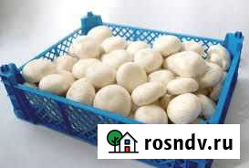 Ящик пластиковый Белгород - изображение 1