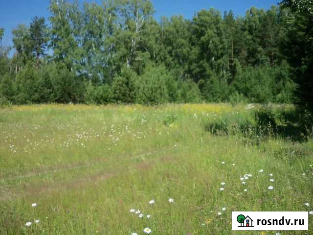 Все от пчел полезное Барнаул - изображение 1