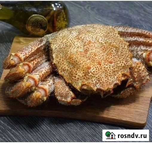 Краб волосатик Великие Луки - изображение 1