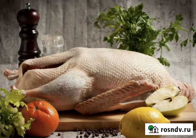 Утки, гуси, домашние куры Егорьевск - изображение 1