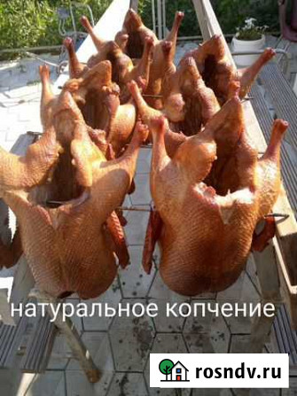 Утка горячее копчение Рубцовск - изображение 1
