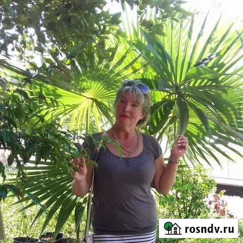 Няня Час/день. Анг/исп язык. Моя/ваша территория Красково - изображение 1