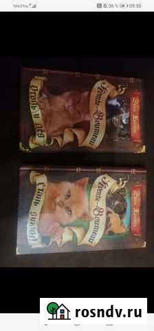 Коты воители 2 части Высоцк - изображение 1