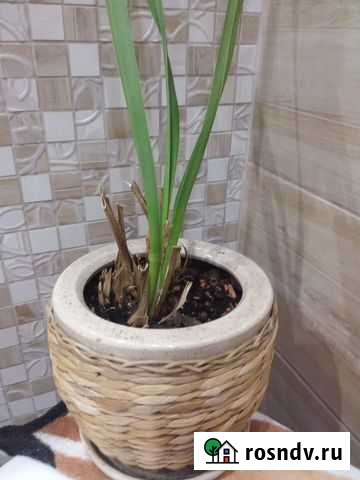 Горшок ротанг глина Коммунарка - изображение 1