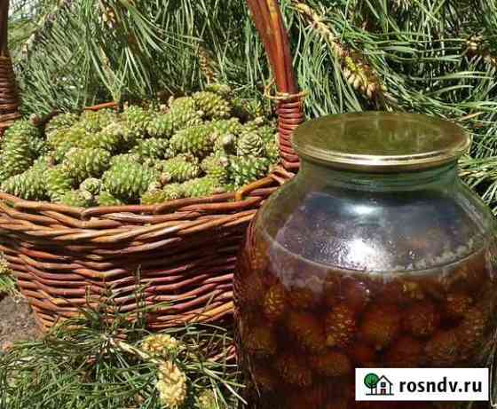 Варенье из сосновой шишки Чита