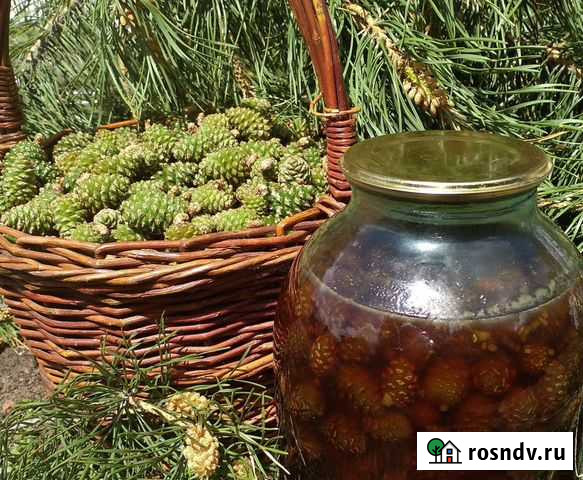 Варенье из сосновой шишки Чита - изображение 1