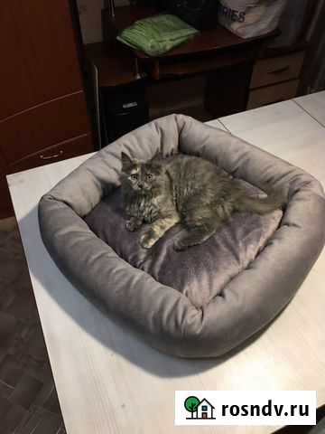 Лежанка Ульяновск - изображение 1