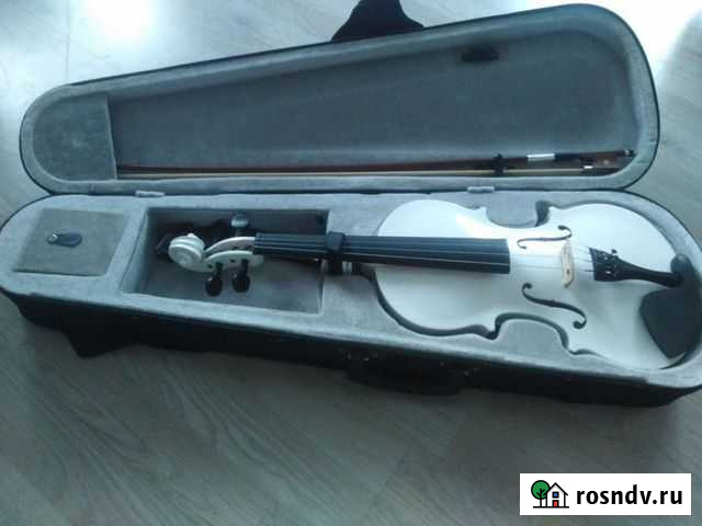 Скрипка Речицы - изображение 1