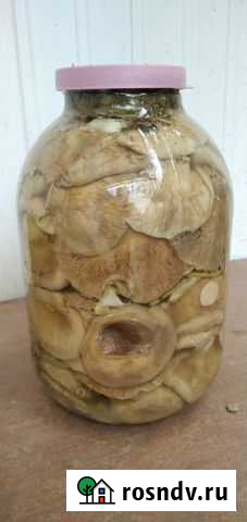 Грибы грузди соленые Прохладный - изображение 1