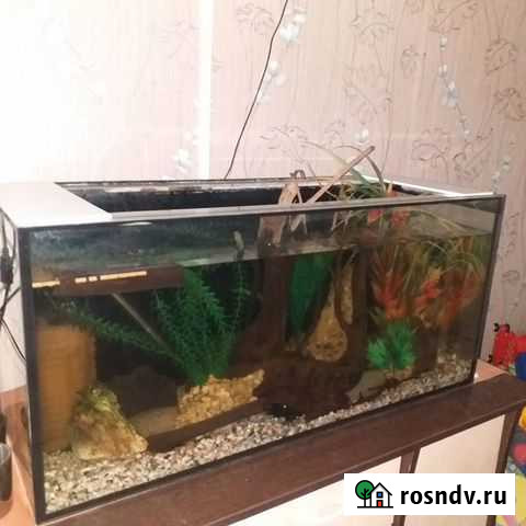 3 аквариума Новолуговое - изображение 1