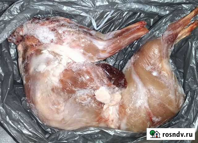 Мясо кролика Чита - изображение 1