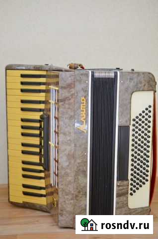 Аккордеон Алито Камышин - изображение 1