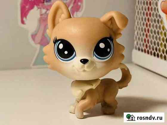 Lps собачка Мытищи