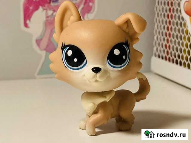 Lps собачка Мытищи - изображение 1