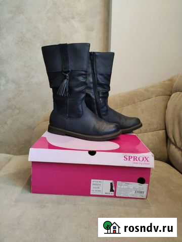 Сапоги осень-весна Казань - изображение 1