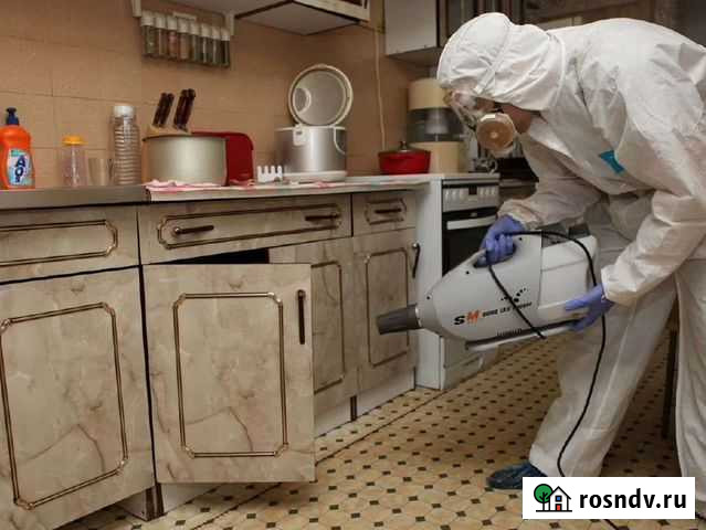 Дезинфекция от клопов,от тараканов,от вирусов Ростов-на-Дону - изображение 1