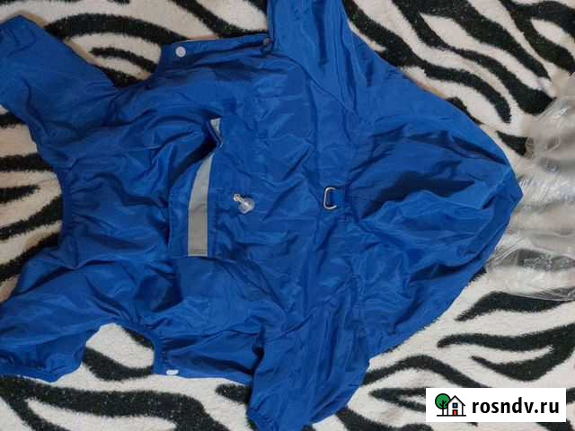 Костюм на собаку Братск - изображение 1