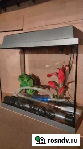 Аквариум 48 литров Магадан - изображение 1