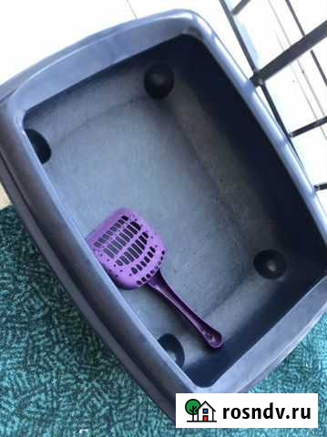 Кошачий туалет Янино-1 - изображение 1