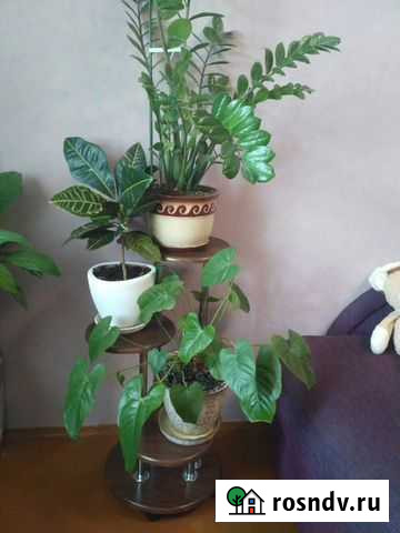 Подставка под цветы в горшках Севастополь - изображение 1