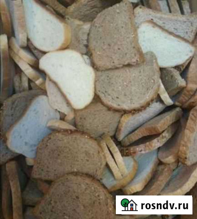 Сухари на корм животным Староминская - изображение 1