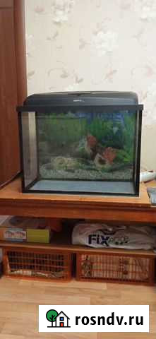 Аквариум Вологда - изображение 1