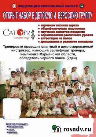 Занятия для детей и взрослых - Карате Кекушинка Североморск